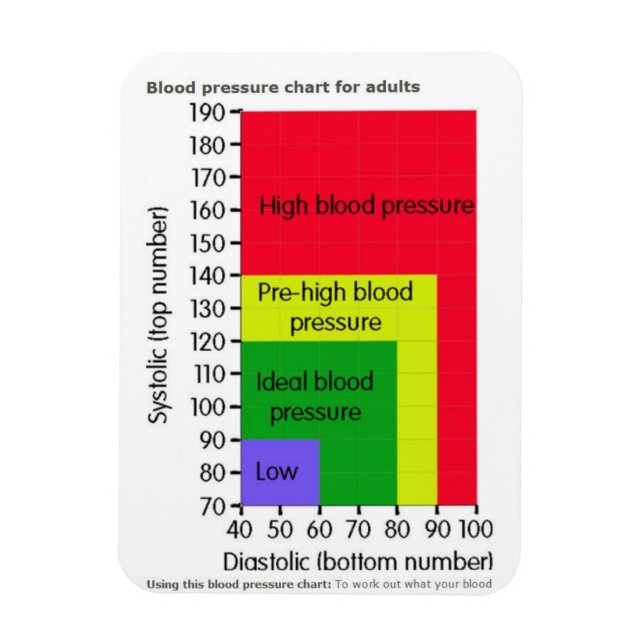 BLOOD PRESSURE CHART MAGNET (Vertical)