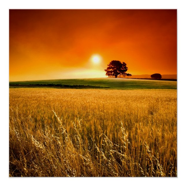 Blood-Red Sunset Poster (Front)