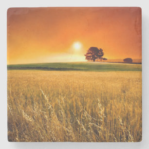 Blood-Red Sunset Stone Coaster