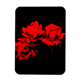 Blood roses in the dark magnet