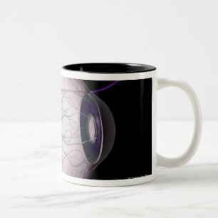 Blood Vessels of the Eye Two-Tone Coffee Mug