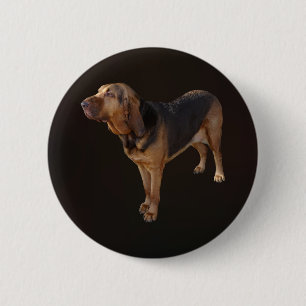 Bloodhound 6 Cm Round Badge