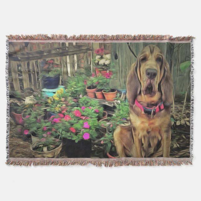bloodhound  blanket throw (Front)