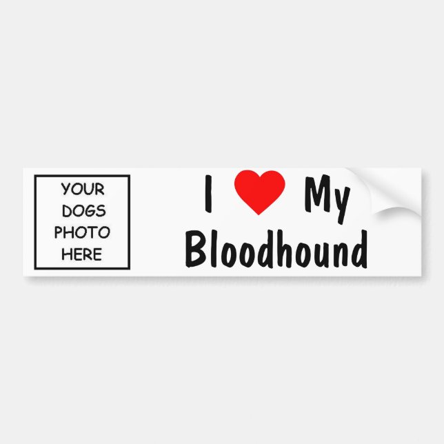Bloodhound Bumper Sticker (Front)