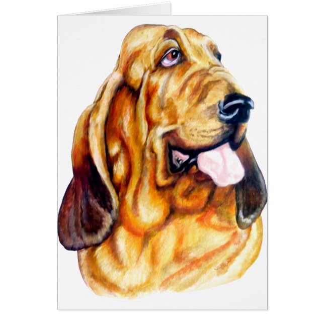 Bloodhound Bust (Front)