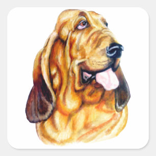 Bloodhound Bust Square Sticker