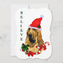 Bloodhound Christmas