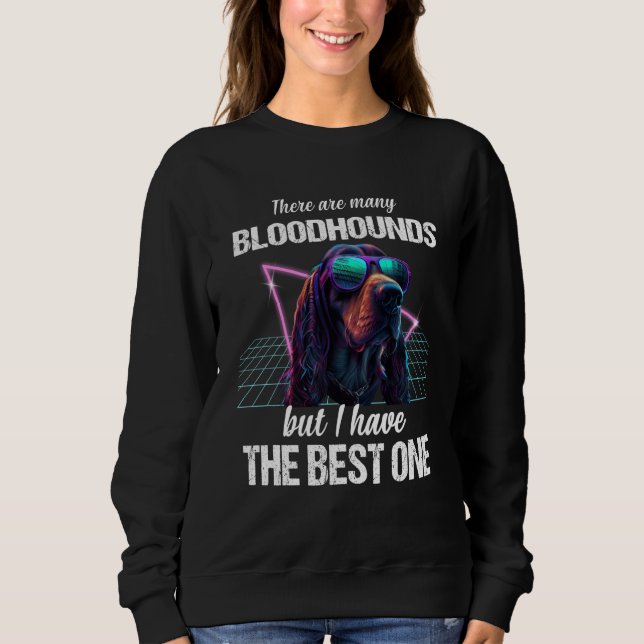 Bloodhound Dog Bloodhounds  1 Sweatshirt (Front)