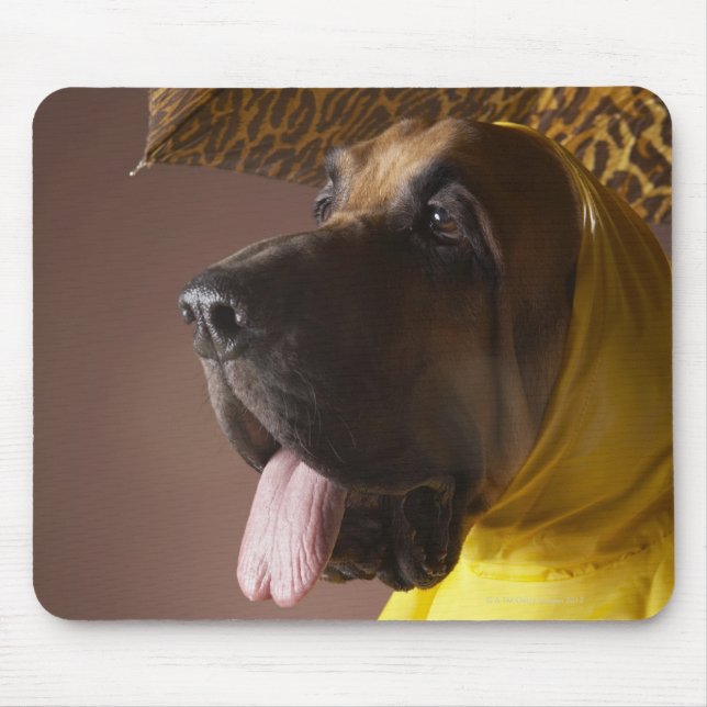 Bloodhound dog. mouse pad (Front)