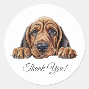 Bloodhound Dog Thank You Classic Round Sticker