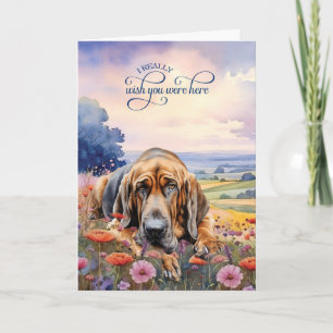 Bloodhound Dog Wildflowers Miss You Card