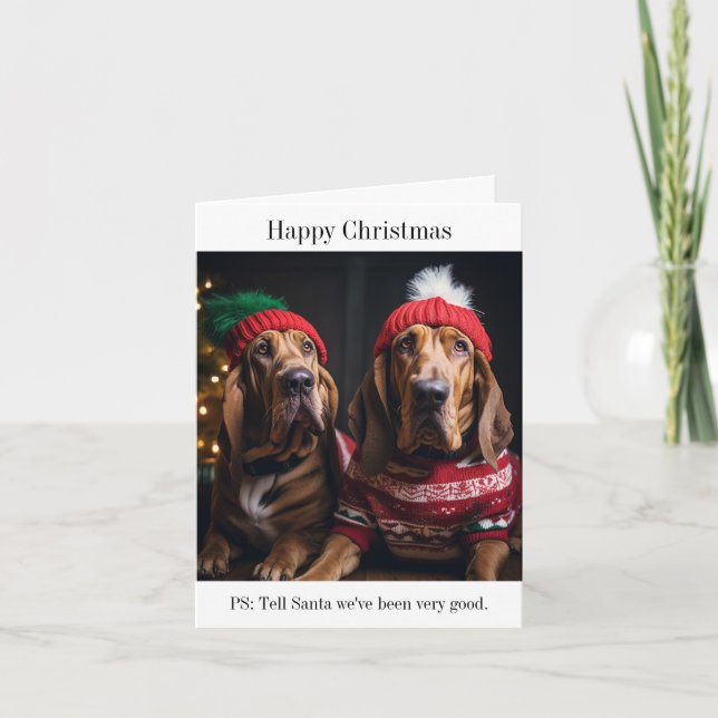 Bloodhound Dogs Christmas Card (Front)