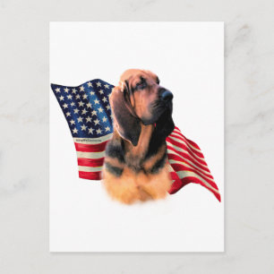 Bloodhound Flag Postcard