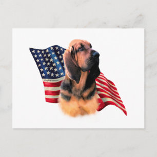 Bloodhound Flag Postcard