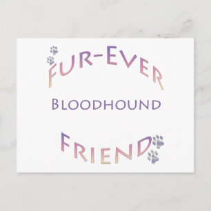 Bloodhound Furever Postcard