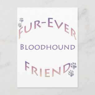 Bloodhound Furever Postcard