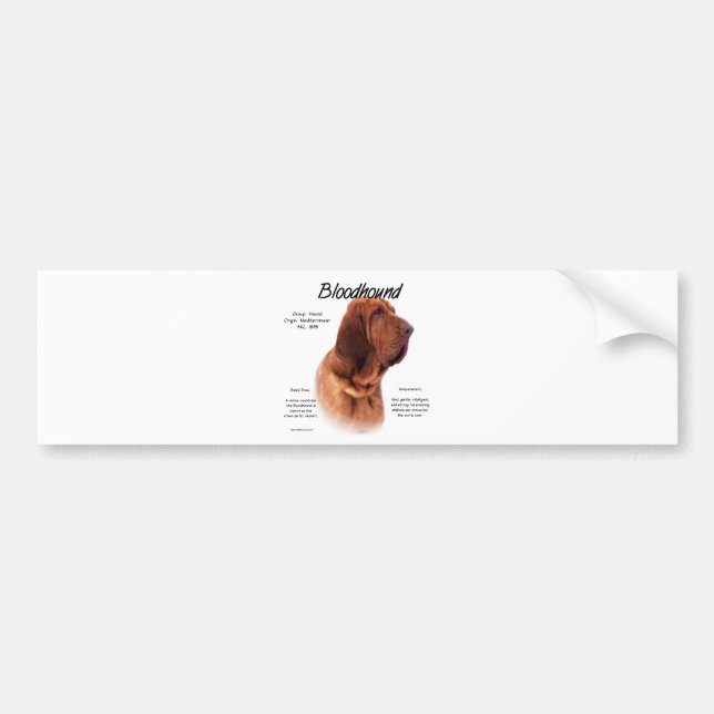 Bloodhound History Design Bumper Sticker (Front)