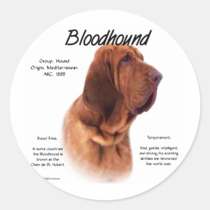 Bloodhound History Design Classic Round Sticker