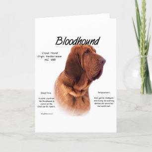 Bloodhound History Design Holiday Card