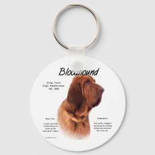 Bloodhound History Design Key Ring
