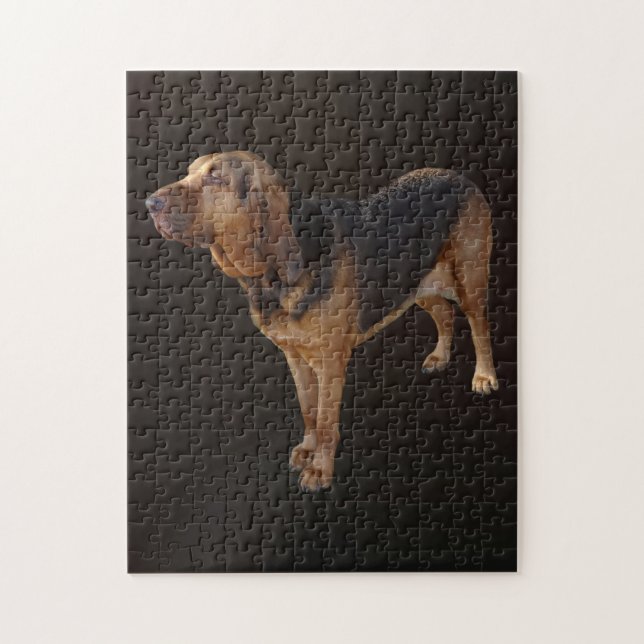Bloodhound Jigsaw Puzzle (Vertical)