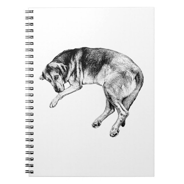 Bloodhound Lying Pose Dog Art Notebook (Front)