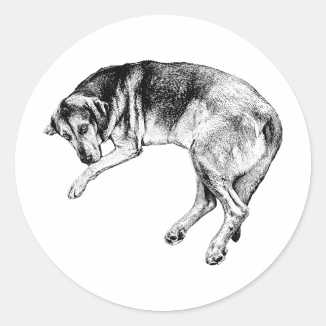 Bloodhound Lying Pose Dog Art Sticker (Front)
