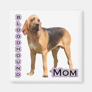 Bloodhound Mum 4 - Magnet