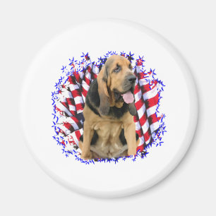 Bloodhound Patriot Magnet