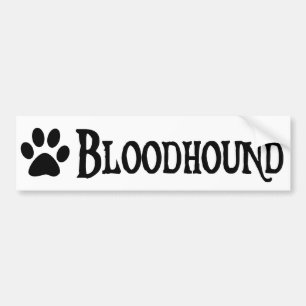Bloodhound (pirate style w/ pawprint) bumper sticker