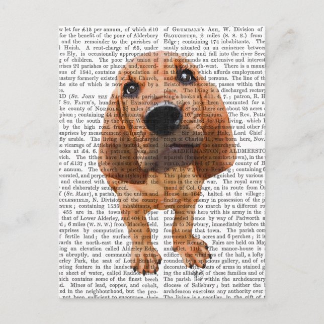 Bloodhound Puppy Postcard (Front)