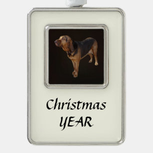 Bloodhound Silver Plated Framed Ornament