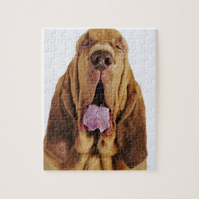 Bloodhound (St. Hubert Hound) with closed eyes, Jigsaw Puzzle (Vertical)