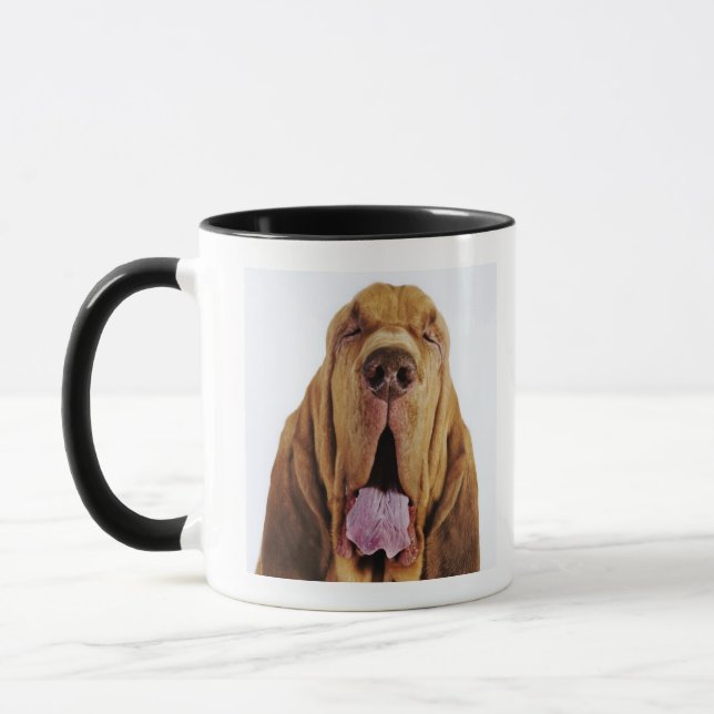 Bloodhound (St. Hubert Hound) with closed eyes, Mug (Left)