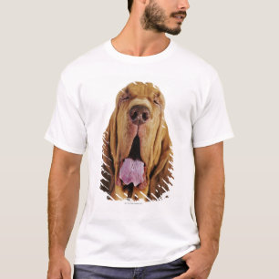Bloodhound (St. Hubert Hound) with closed eyes, T-Shirt