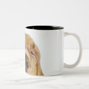 Bloodhound (St. Hubert Hound) with closed eyes, Two-Tone Coffee Mug