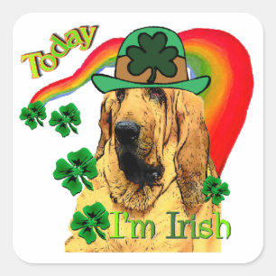 Bloodhound st Patricks Square Sticker
