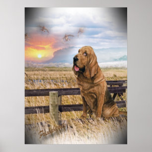 Bloodhound Sunset Poster