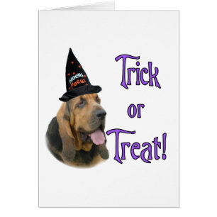 Bloodhound Trick