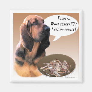 Bloodhound Turkey Magnet