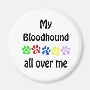 Bloodhound Walks Design Magnet
