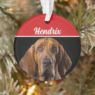 Bloodhound with Name and Photo Holiday Christmas Ornament
