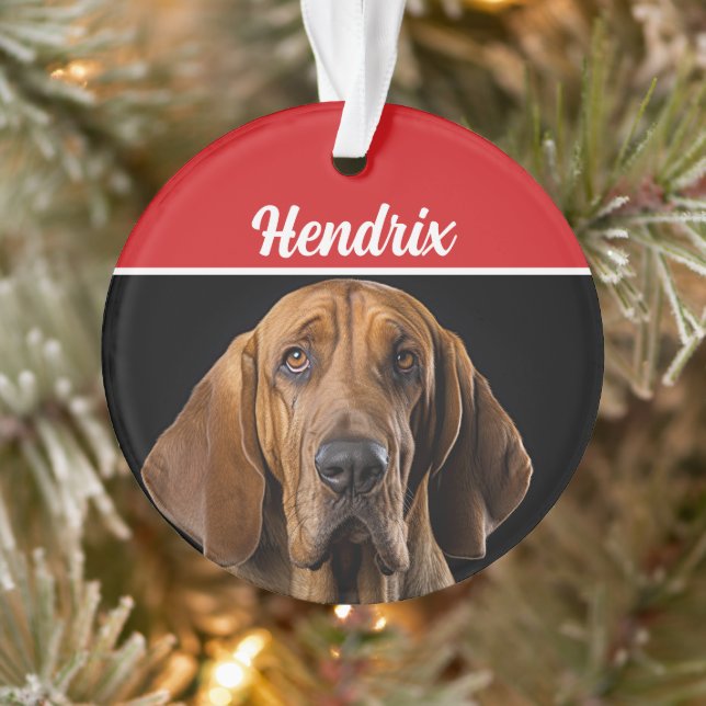 Bloodhound with Name and Photo Holiday Christmas Ornament (Tree)