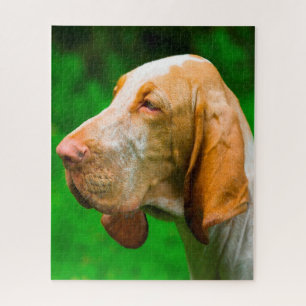 Bloodhounds Jigsaw Puzzle