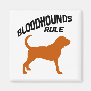 Bloodhounds Rule Magnet
