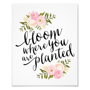 Bloom   Art Print