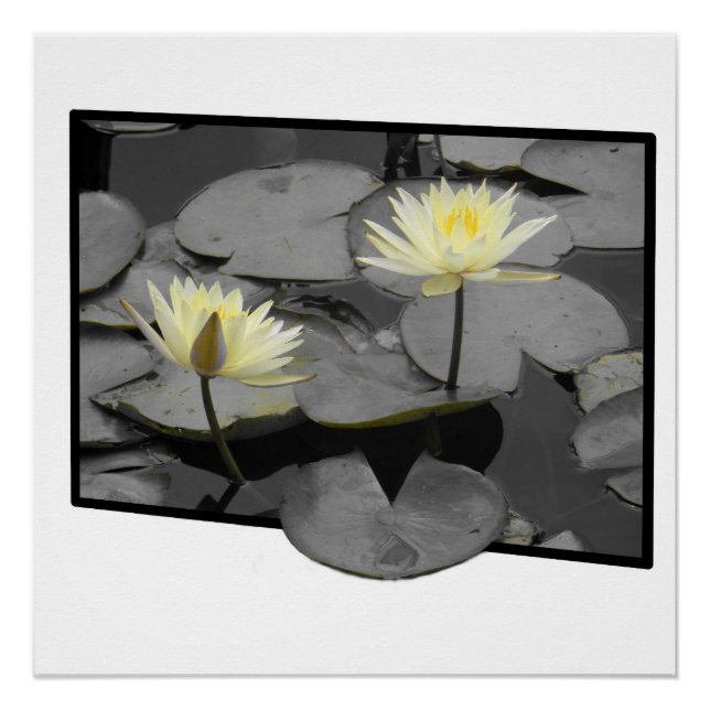 Bloom Beyond the Frame Glossy Poster (Front)