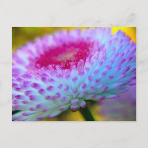 Bloom Flower Postcard