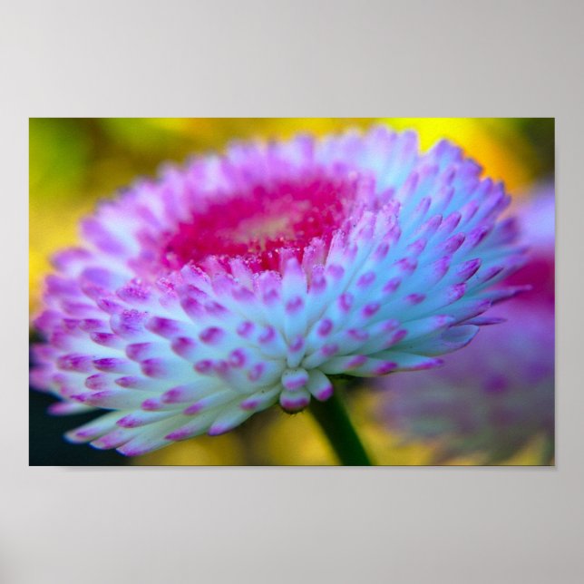 Bloom Flower Poster (Front)