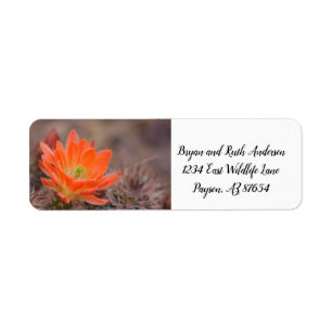 Bloom in orange cactus blossom return address label